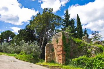 Fototapeta na wymiar Spring in Tuscany, a walk in park near San Gimignano