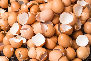 eggshell of brown eggs - obrazy, fototapety, plakaty