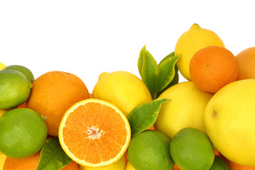 Fresh citrus fruit on white background