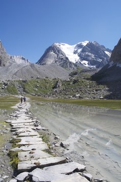 le lac des vaches