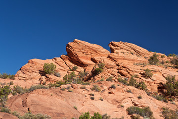 Fototapeta na wymiar USA - coyote buttes - the wave formation