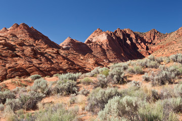 Fototapeta premium USA - coyote buttes - the wave formation