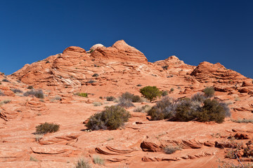 Fototapeta premium USA - coyote buttes - the wave formation