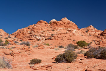 Fototapeta premium USA - coyote buttes - the wave formation