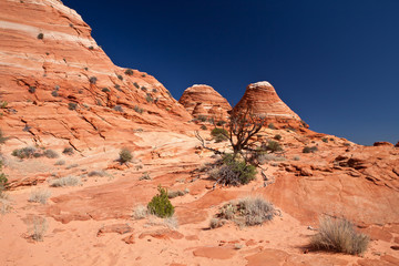 Fototapeta premium USA - coyote buttes - the wave formation