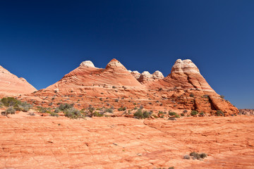 USA - coyote buttes - the wave formation