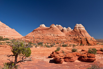 USA - coyote buttes - the wave formation