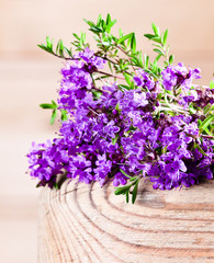 Bunch of a blossoming thyme