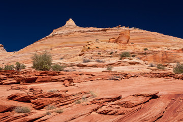 USA - coyote buttes - the wave formation