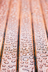 water drops on wooden garden table