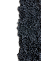 black caviar