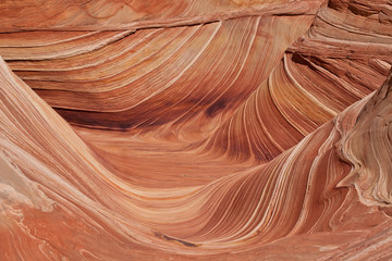 USA - coyote buttes - the wave formation - 70302986