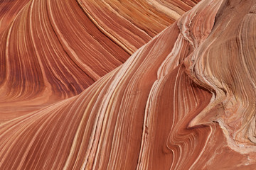 USA - coyote buttes - the wave formation