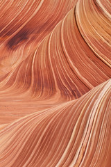 USA - coyote buttes - the wave formation - 70303178