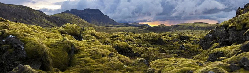 Fototapeten Surreale Landschaft mit wolligem Moos bei Sonnenuntergang in Island © Creativemarc