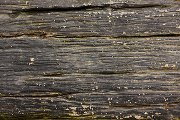 wood background