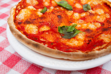 Homemade pizza with tomato sauce, mozzarella and basil leaves
