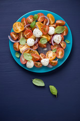 Vegetable salad with mozzarella over dark blue wooden background