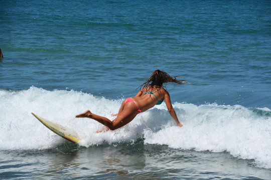 surfista sexy