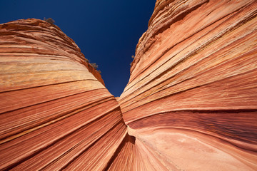 USA - coyote buttes - the wave formation