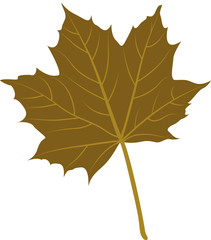 Feuille érable marron illustration 3
