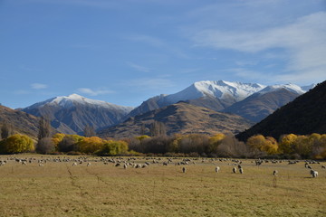 Scenic landscape between Wanaka and Queenstown, South Island.