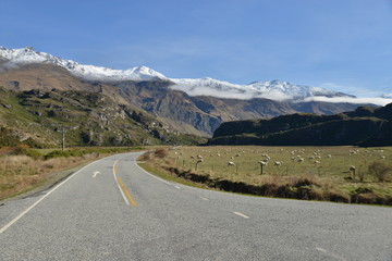 Highway Road streching to the mountains, South island
