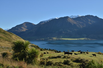 Lake Hawea landscape