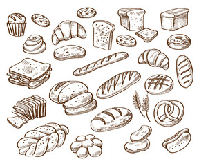 bread on white background