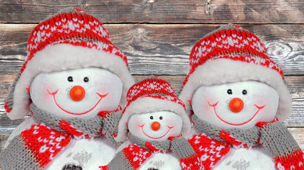 schneemann - familie