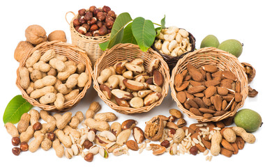 Types of nuts