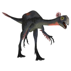 Dinosaur Gigantoraptor