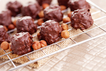 hazelnut pralines