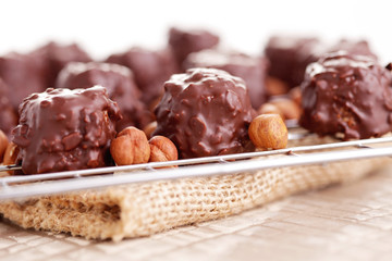 hazelnut pralines