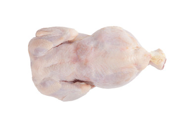 frozen chicken isolated on white background
