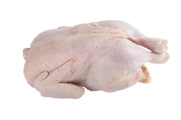 frozen chicken isolated on white background