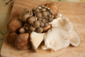 three mushroom assortment