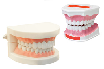 The image of dentures
