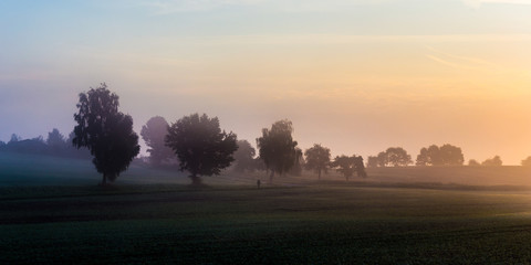 Fototapeta na wymiar Foggy Morning Sunrise in Bavaria