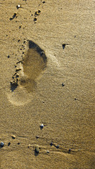 Footprint on the sand beach