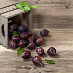 Ripe Plums in wooden box on wooden table