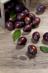 Ripe Plums in wooden box on wooden table