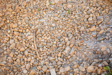 pebble stones background