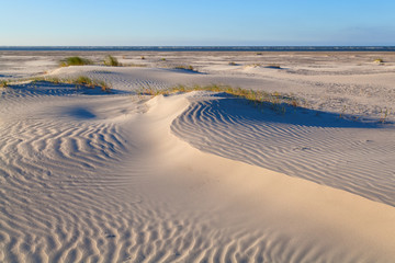 Fototapeta na wymiar sand dunes on Dutch sea coast