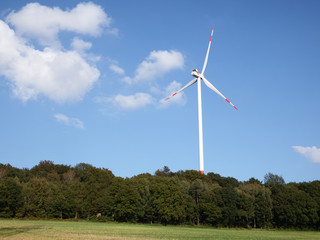 Windkraftanlage mit Wald
