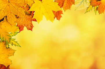 Fototapeta na wymiar Autumn leaves frame