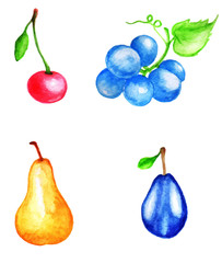 Watercolor fruits and berries