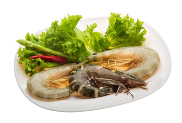 King and waterleg shrimps