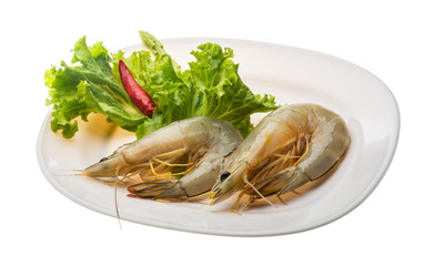 Tiger prawn