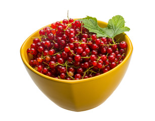 Red currant